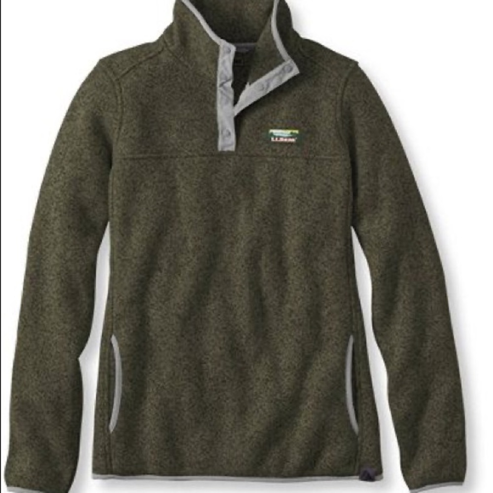 LL Bean Fleece Pullover in Kelp Green